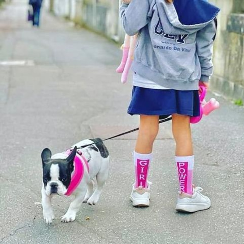 Kind met roze Girl Power-sokken, witte sneakers en een blauwe rok naast een hond aan de lijn.