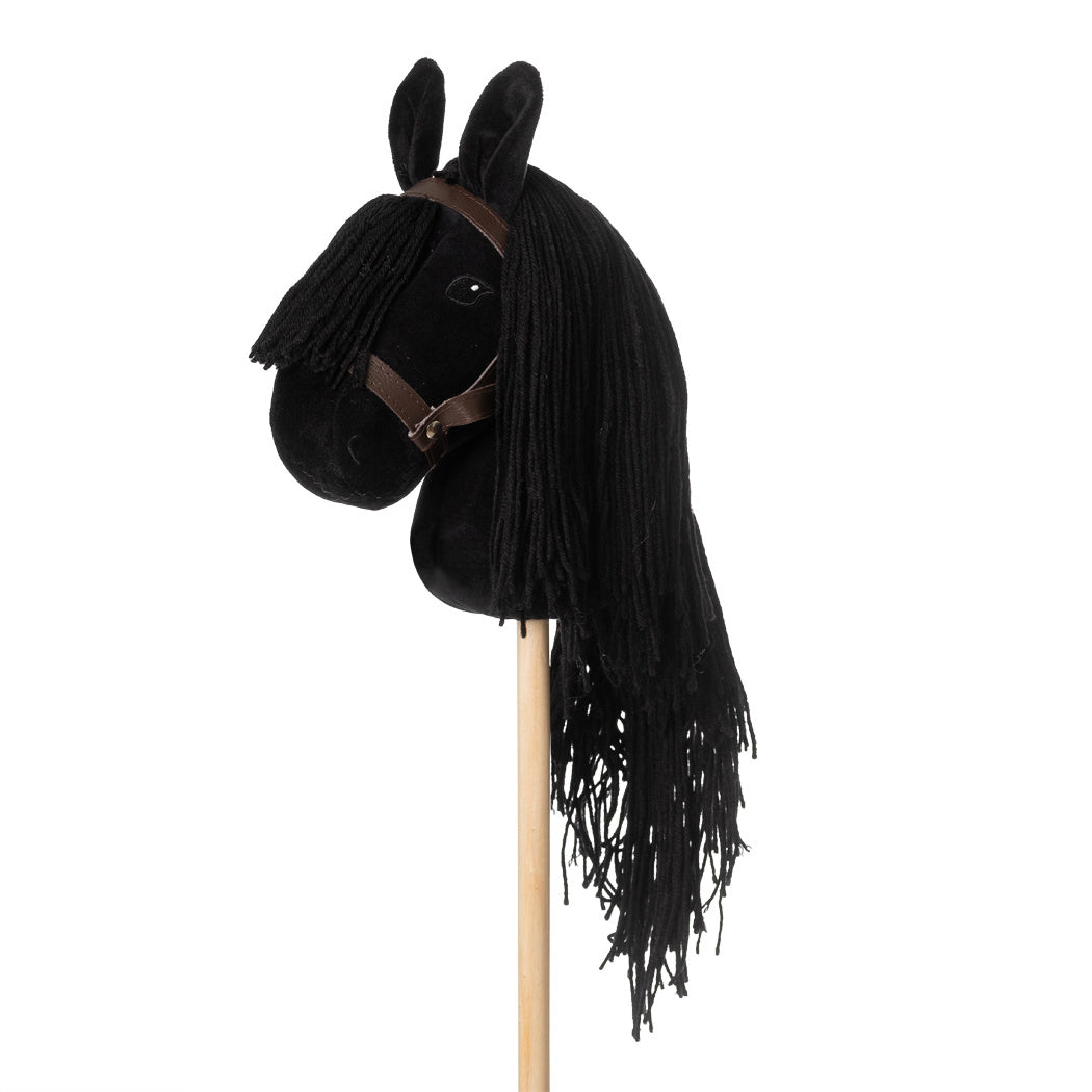 Zwart stokpaardje met lange zwarte manen en een bruin hoofdstel, schuin van opzij gezien.